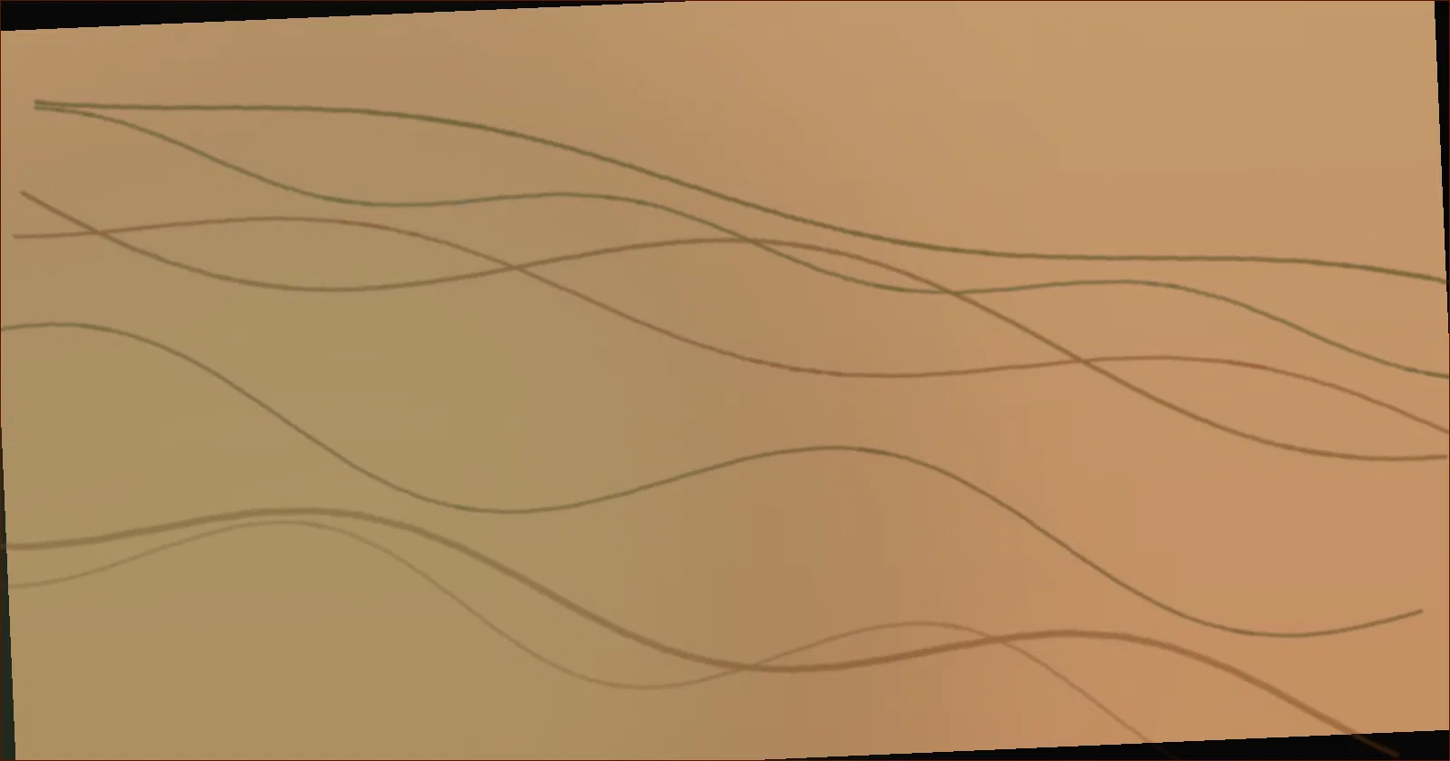 A river winding through northern forest seen from a canoe at dawn